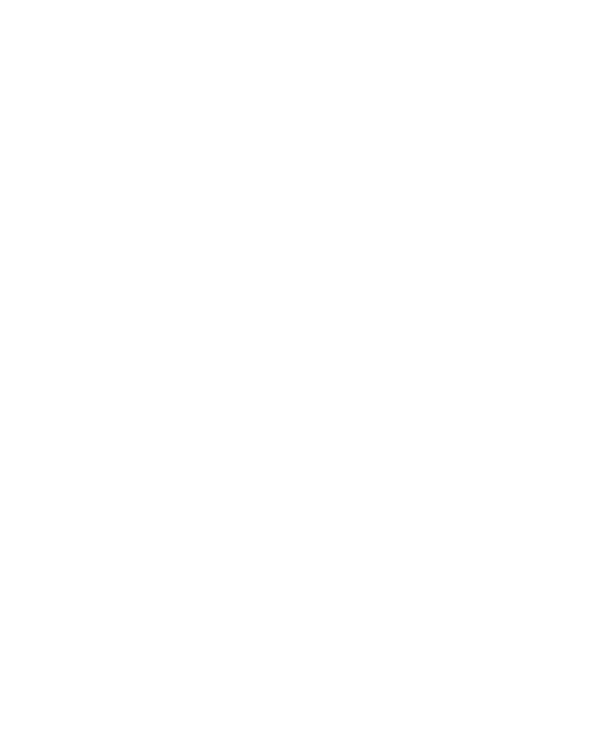 Alabama Chimney Repair Logo